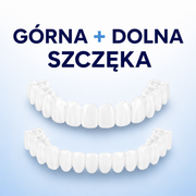 SMILEFIT PRO – REGULOWANY ZESTAW ZĘBÓW DLA IDEALNEGO UŚMIECHU